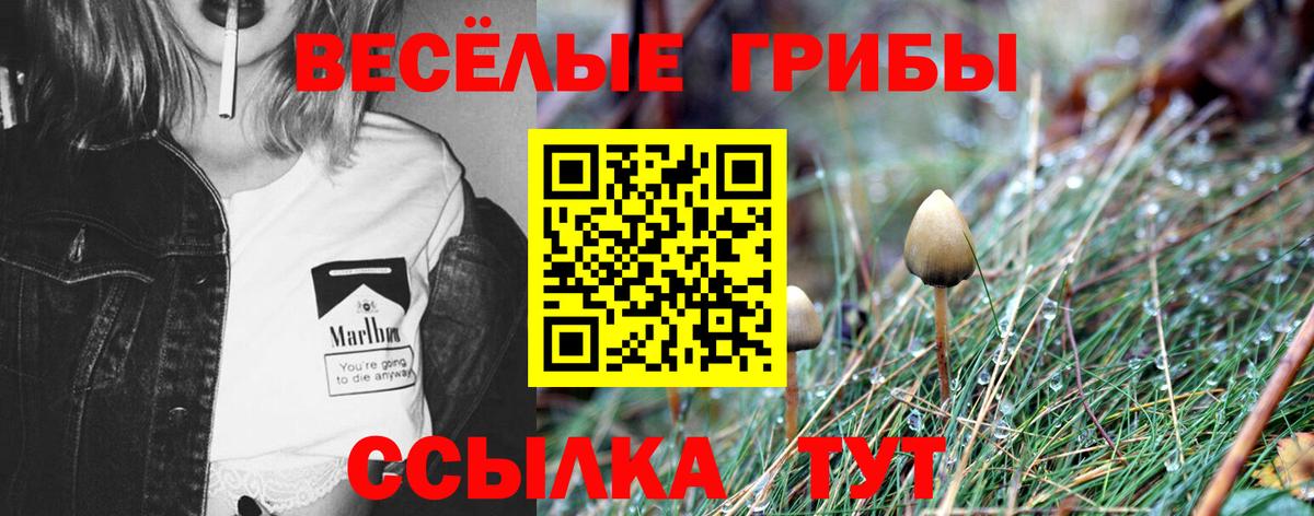 Codein  НБОМе  Лсд 25  МАРИХУАНА  МЕФ кристаллы  Владимир  COCAIN  Вход с VPN  Alpha-PVP СК  